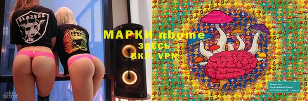 PSILOCYBIN Армянск