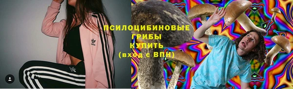 PSILOCYBIN Армянск